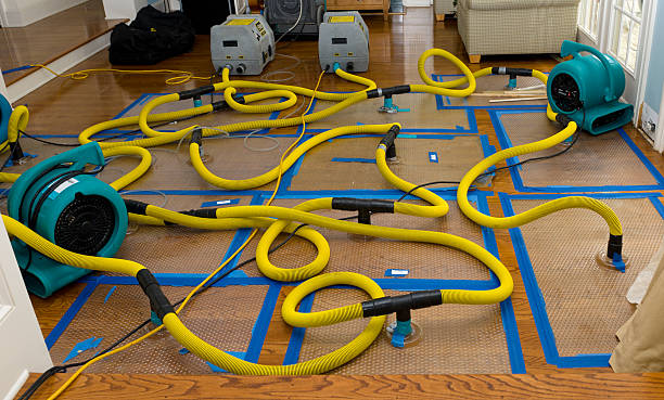 Professional Burst Pipe Water Damage technician working in Braddock, PA